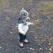 ぴょんち