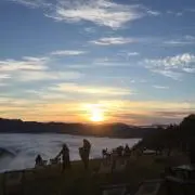 yo-hoの画像