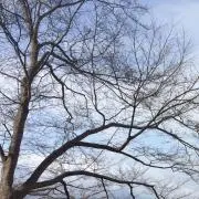 Me.の画像
