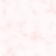 マカロンの画像