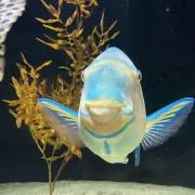 村室　零の画像