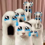 や  プロフ必須の画像