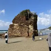 Qちゃんの画像