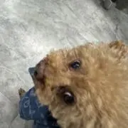 るいの画像
