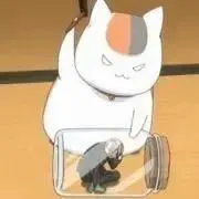 あんこの画像