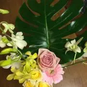 けいの画像