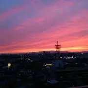 花☆の画像