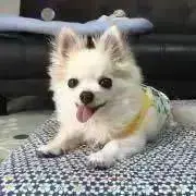 羅王の画像