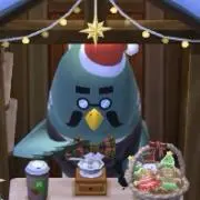ちまの画像