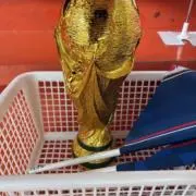 ティアの画像