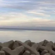 yの画像
