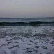 doratanukiの画像