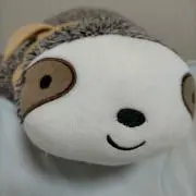 ゆき