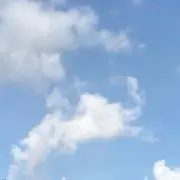 プチ