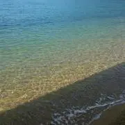 そうの画像