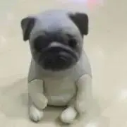 鼻たれ