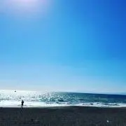 REINAの画像