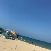 ＮＴＫの画像