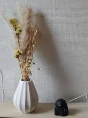 ryの画像
