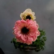 とし