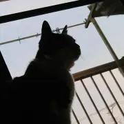 ひろみの画像