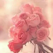 コットン⋆͛♡̷♡̷⋆͛