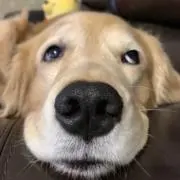 ミックスナッツの画像