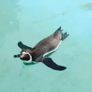 みい