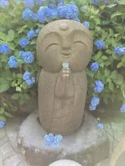 オリーブの画像