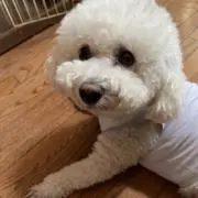 mika.の画像