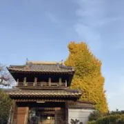 msy_6の画像