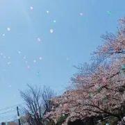 ロミー