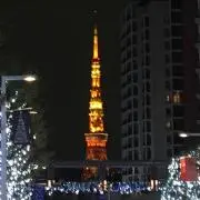 アリスの画像