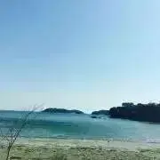 はなの画像