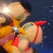 ドナ☆ぷーの画像