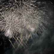 桜　プロフ確認宜しくお願いします⚠️の画像