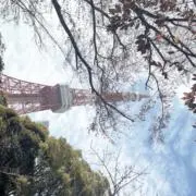 ミーの画像
