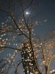 TE2の画像