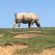 ふなつん