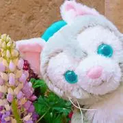 きなこもちの画像