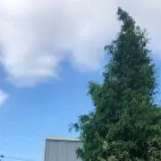 Marieの画像