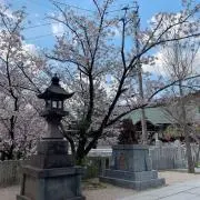 miwako.t.55の画像