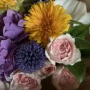 ルルドの画像