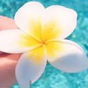 むぎの画像