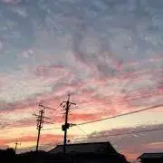 ひーちゃんの画像