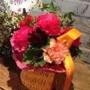 orangeの画像
