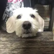 あき