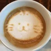 Sophieの画像