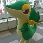 ポケモン大好きオジサン