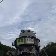 きーの画像